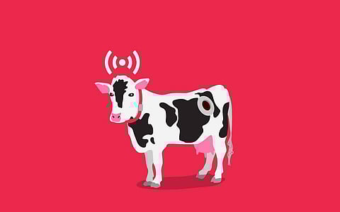 Case Studies that explain how IoT Sensors Redefine Livestock Monitoring