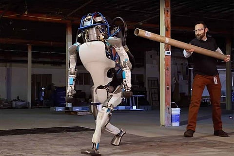 Demystifying the Pro-social Behaviour of Robots Through Abuse