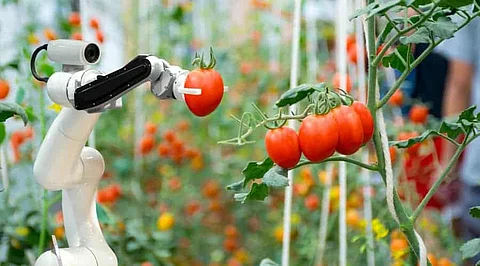 Role of AI in the Field of Precision Agriculture and its Uses