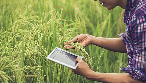 Big Data Follows One Farm, One Data Set Rule Overwhelming To Farmers