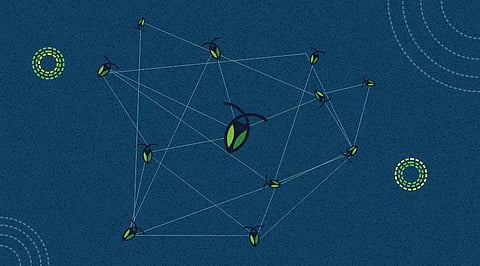 Cockroach Labs’ New Launch Is For Developers Managing Data