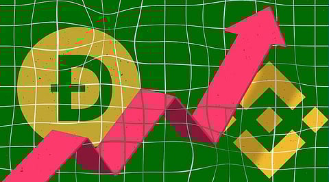 Dogecoin and Binance Coin Witnessed the Biggest Price Jump in 2021