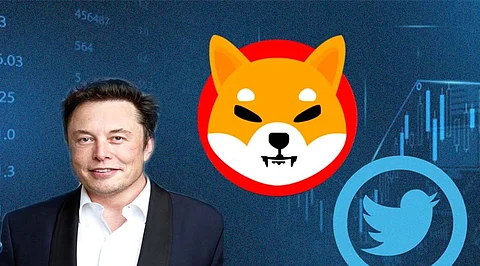 Baby Doge: Elon Musk Tweets on Dogecoin Spinoff New Cryptocurrency