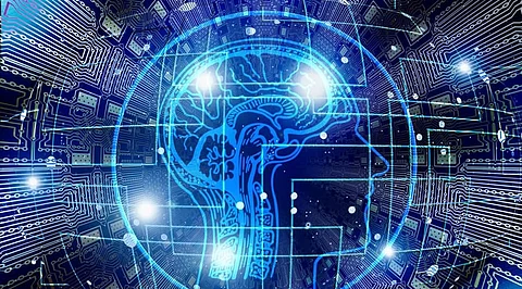 AI, ML or Data Science? Which is the Best Path to Take?