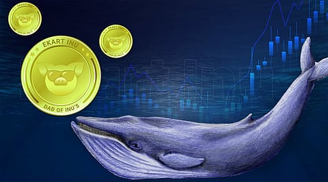 Crypto Whales Spotted Buying Massive Amounts of EKARTINU Tokens