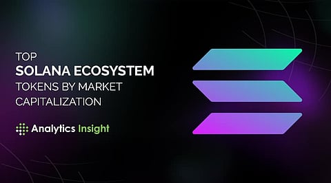 Top Solana Ecosystem Tokens by Market Capitalization in August 2021