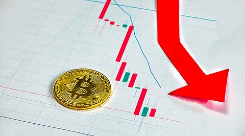 Total Number of Cryptocurrencies Slipped to 5,900, Still a Massive 47% Increase YTD