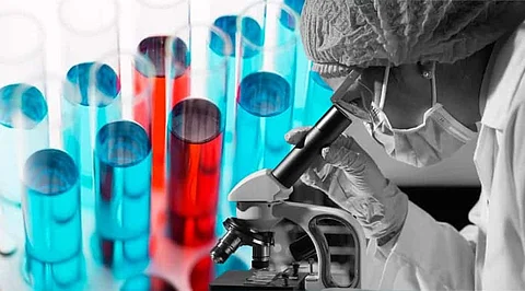 Career Insights: Everything You Need to Know About Research Scientists