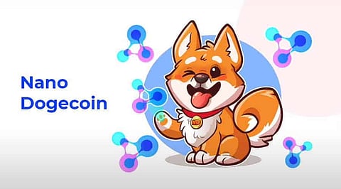Is it Too Late to Invest in Nano Dogecoin? Maybe Yes or Maybe Not