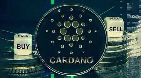 Is Cardano Undervalued? What is the Real Potential of the Crypto?