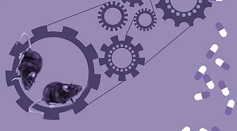 Potential of Artificial Intelligence Replacing Animal Testing in the Future