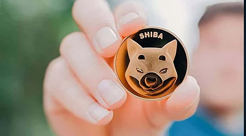 This Time it’s Shiba Inu that Stole Floki Lovers’ Hearts