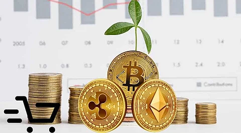 10 Most Popular Cryptocurrencies to Buy this November Weekend