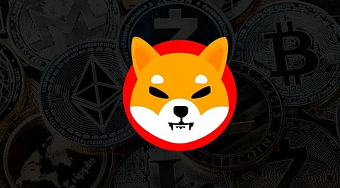 After Rash Run, Will Shiba Inu Enter Top 10 Crypto List in 2022?