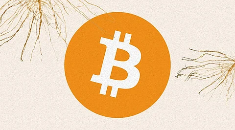 Bitcoin Taproot Development: What Does it Mean for Investors?