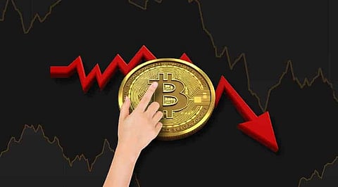 Career Insights: All You Need to Know About a Cryptographer