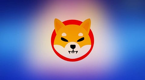 Dogecoin Loses its Crown While Shiba Inu Gets More Headstrong