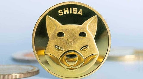 How WGC Token could be the next Shiba Inu, FlokiInu or Akita Inu