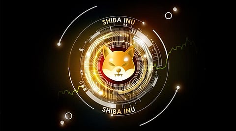 Shiba Inu Missed the Santa Claus Rally! Yet a Price Surge is Possible