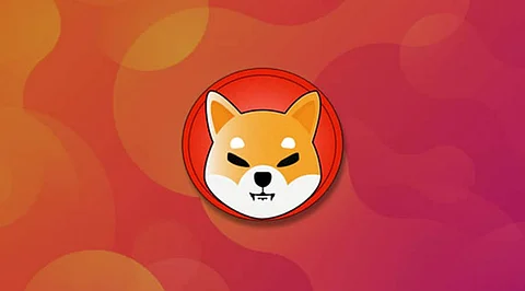 10 Unstoppable cryptocurrencies that have left Shiba Inu Behind in Dec