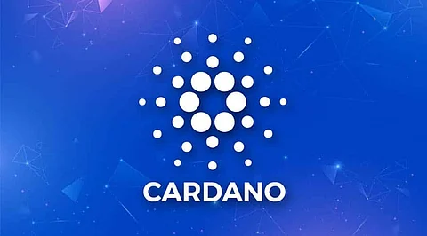 What is Next for Cardano in 2022? Can we Expect a Price Surge?