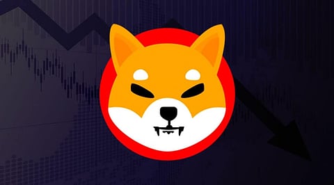 Will Shiba Inu Fall to its Previous Level in 2022? We Explore