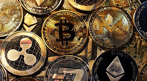Bitgert, Centcex, Safemoon, BabyDoge, Saitama Inu, Floki Inu & Radio Caca – What’s Special About These Projects?