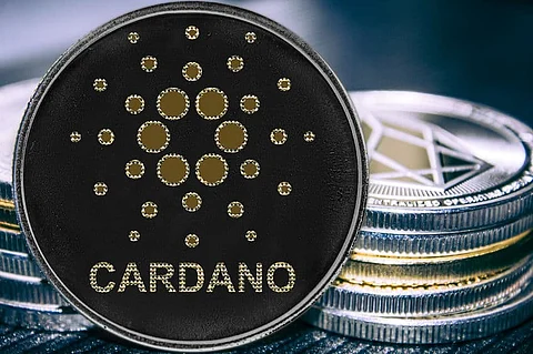 22th Jan Updates: Avalanche, Matic, Litecoin, Solana, Cardano, Bitgert & Centcex