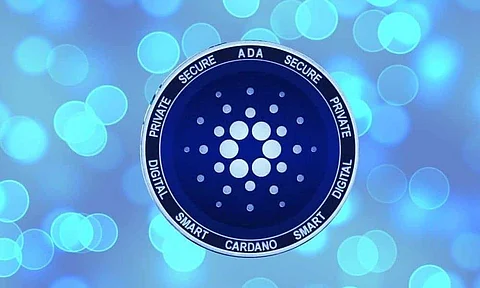 Cardano and HUH Token Plant Trees as Brazil Reaches its Highest Level of Deforestation in 15 Years