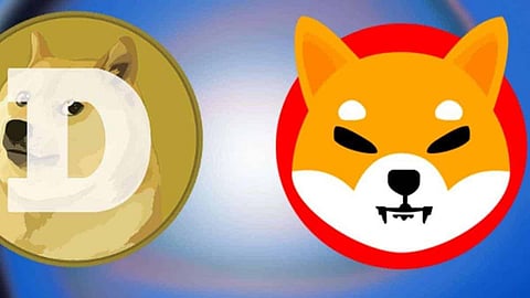 DOGECOIN (DOGE) & SHIBA INU (SHIB)- Top Crypto To Buy and Hold in 2022?