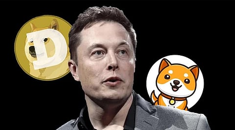 Elon Musk’s Dogecoin, Shiba Inu, Safemoon, Bitgert & Babydoge – Best Crypto to Invest in 2022?