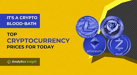 It’s a Crypto Blood-Bath: Top Cryptocurrency Prices for Today