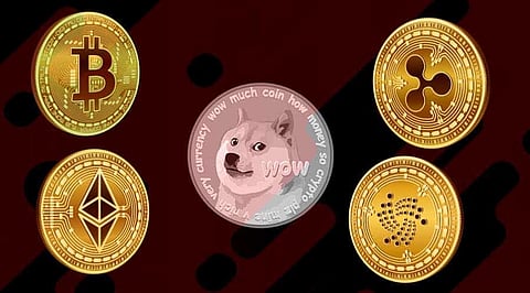 Missed Out on Shiba Inu? Here are 10 Cryptos to Compensate