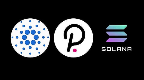Polkadot, Solana, Cardano – Top Cryptocurrencies Updates This Week