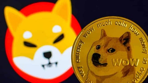 What will be the next Dogecoin or Shiba Inu in 2022?
