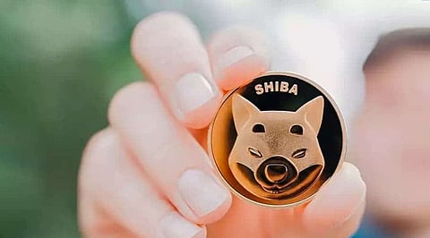 Shiba Inu, Ripple (XRP), Polkadot, EGC – the best cryptos to invest in for 2022