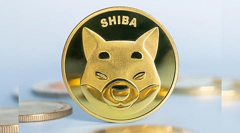 How to Buy Shiba Inu coin 2022