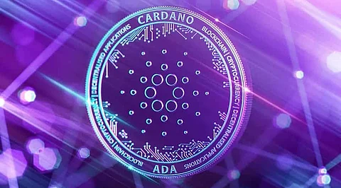19th January Updates: Solana, Cardano, Avalanche, Matic, Litecoin, Bitgert & Centcex