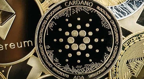 Solana, Cardano, Matic, Avalanche, Litecoin, Bitgert & Centcex – 5 Facts About These Cryptocurrencies