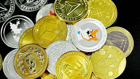 Buy Crypto – Bitgert & Centcex and Not to Buy Shiba Inu, Dogecoin, BNB coin, Ethereum, Bitcoin