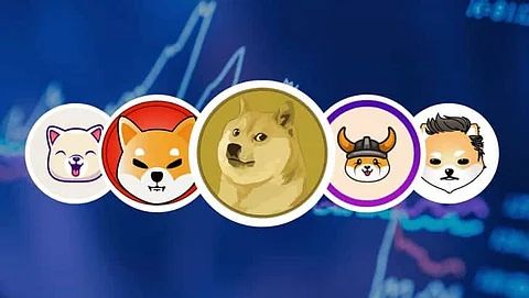 Better Buy- SHIBA INU, CARDANO, or EVERGROW?