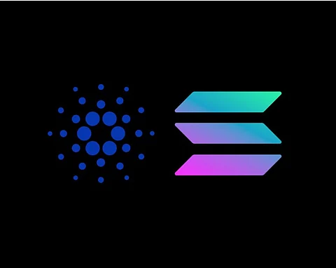Cardano & Solana Price Plunge While Bitgert to Become $0.0001 In Next 365 Days