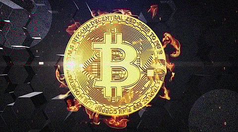 Cardano Remain Same While Bitgert Launching Blockchain, Solana, Matic, Avalanche, Litecoin, Centcex Became Bullish