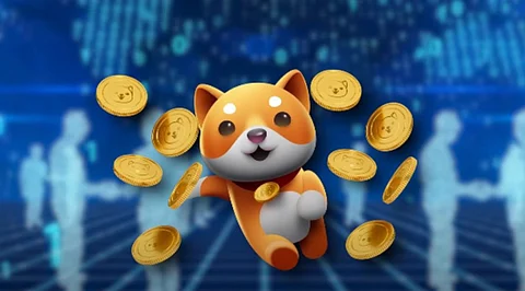 Top 3 coins to buy in 2022: Baby Doge (BabyDoge), Solana (SOL) and Seesaw Protocol (SSW)