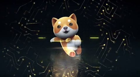 Will Cryptos Like Baby Doge Coin (BABYDOGE) and HUH Token (HUH) Create a New Generation of Crypto Millionaires?