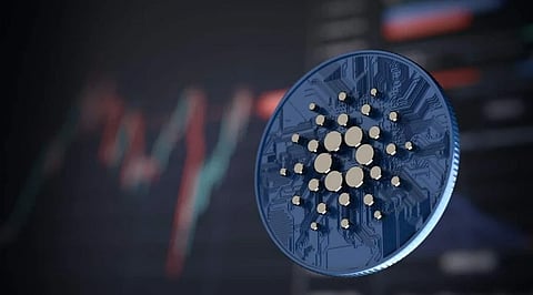 Ethereum Crypto Compatible Bitgert Blockchain Is LIVE, Tough Competitor for Cardano, Solana & Polygon