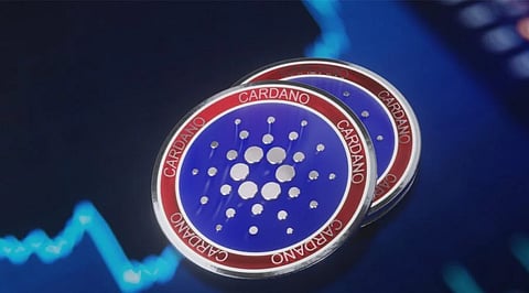 Bitgert Might Hit Cardano Marketcap This Year