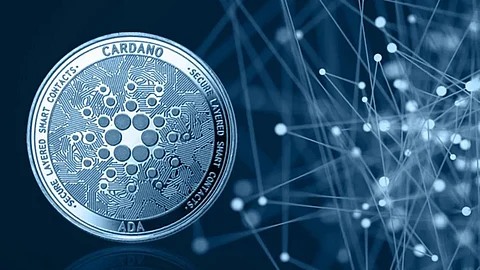 Cardano Inspired Project Bitgert Plans To Help Small Scale Business in Raising Fund Through BRC20 Smart Contract, Tough Competitor for Avalanche & Matic