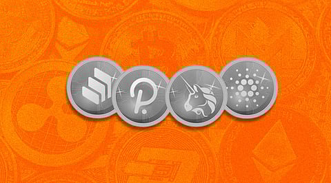 Cardano, Matic, Solana, Avalanche, Litecoin – Here’s What New About These Cryptocurrencies