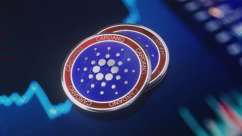 Cardano Community Joining Bitgert After Blockchain Launched